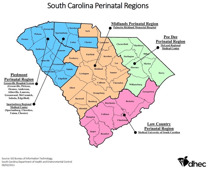 South Carolina perinatal regions