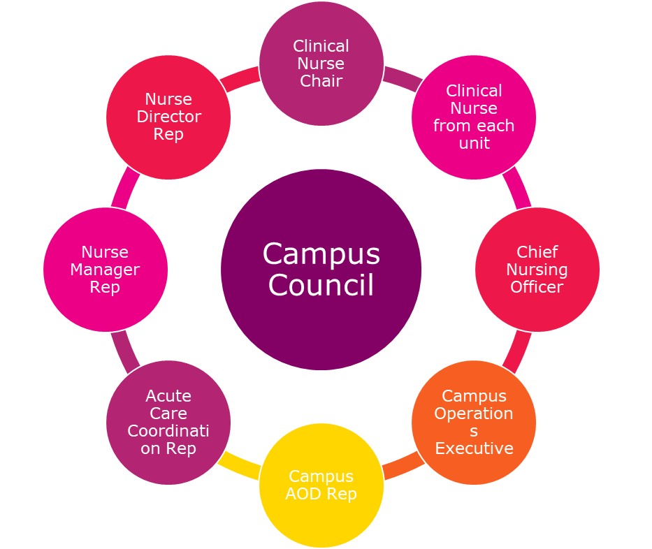 Campus Shared Governance Council Model graphic
