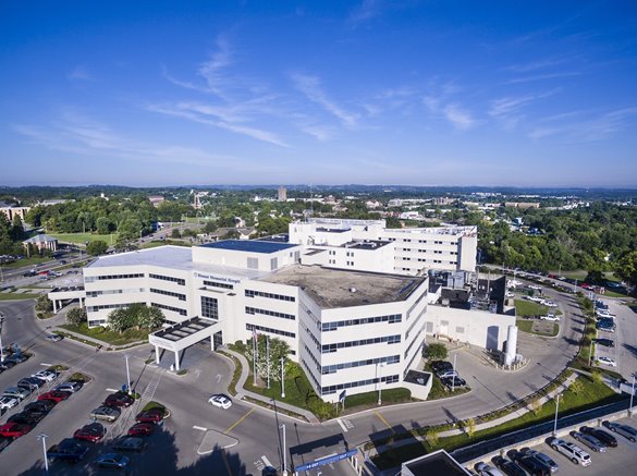 Hospital view 2